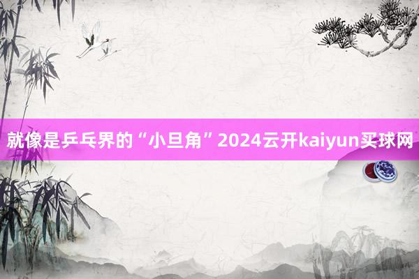 就像是乒乓界的“小旦角”2024云开kaiyun买球网