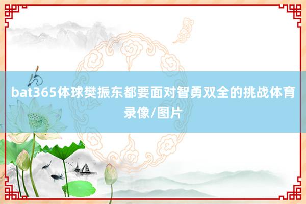 bat365体球樊振东都要面对智勇双全的挑战体育录像/图片