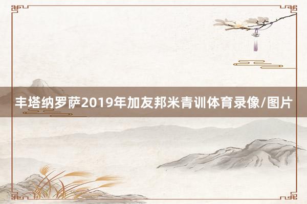 丰塔纳罗萨2019年加友邦米青训体育录像/图片