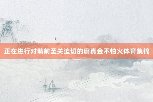 正在进行对畴前至关迫切的磨真金不怕火体育集锦