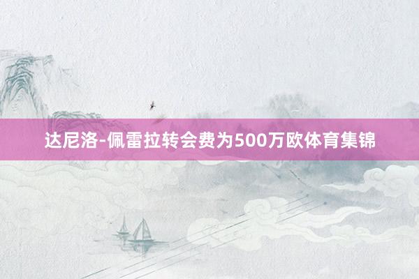 达尼洛-佩雷拉转会费为500万欧体育集锦