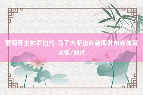 葡萄牙主帅罗伯托-马丁内斯出席新闻发布会体育录像/图片
