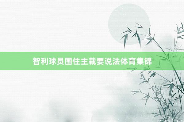 智利球员围住主裁要说法体育集锦