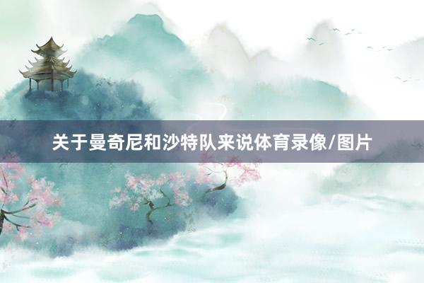 关于曼奇尼和沙特队来说体育录像/图片