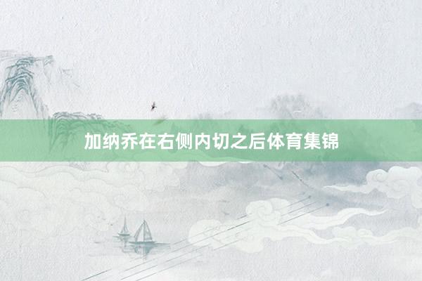 加纳乔在右侧内切之后体育集锦