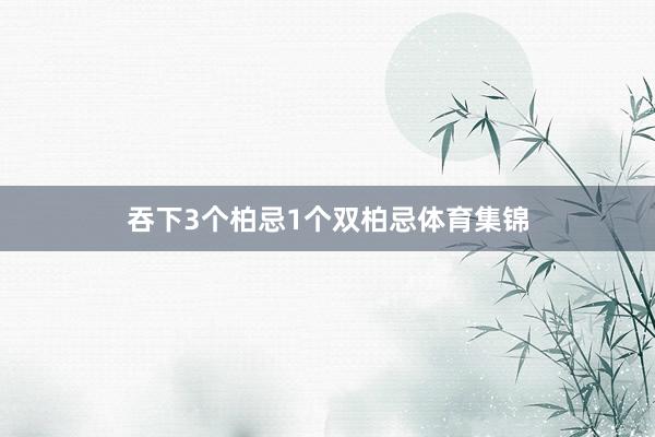 吞下3个柏忌1个双柏忌体育集锦