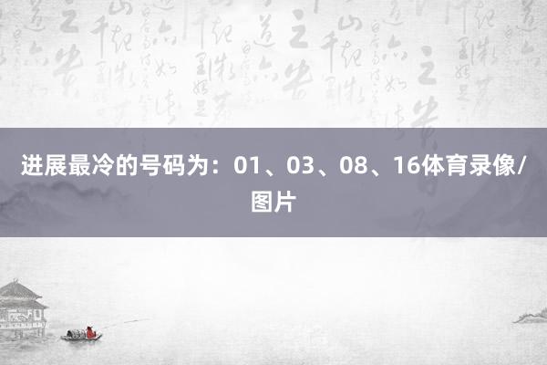 进展最冷的号码为：01、03、08、16体育录像/图片