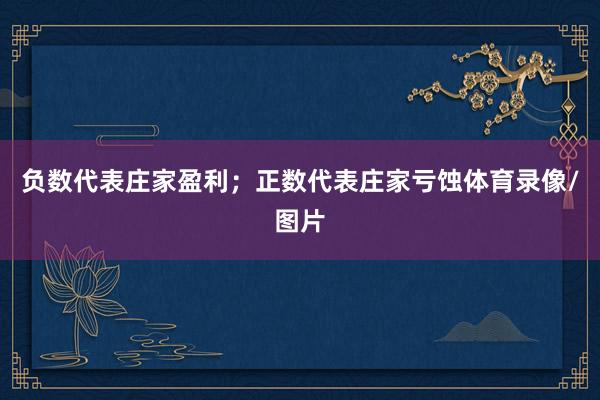 负数代表庄家盈利；正数代表庄家亏蚀体育录像/图片