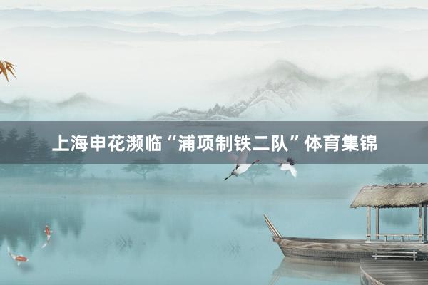 上海申花濒临“浦项制铁二队”体育集锦