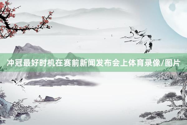 冲冠最好时机在赛前新闻发布会上体育录像/图片