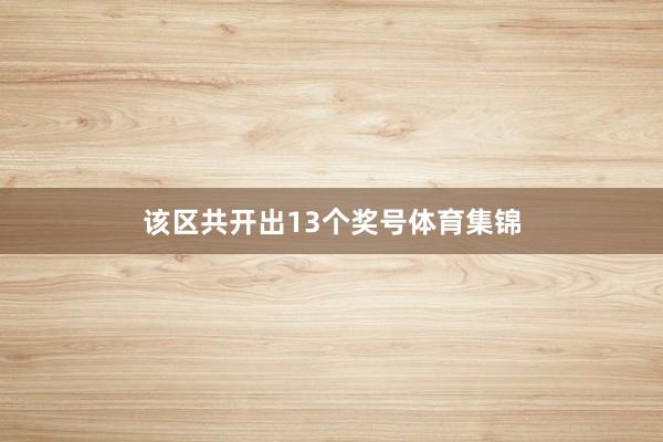 该区共开出13个奖号体育集锦