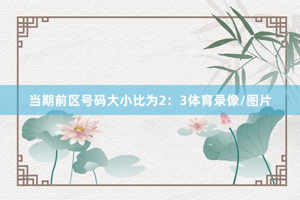 当期前区号码大小比为2：3体育录像/图片