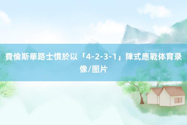 費倫斯華路士慣於以「4-2-3-1」陣式應戰体育录像/图片