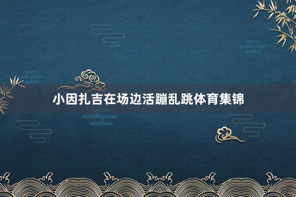 小因扎吉在场边活蹦乱跳体育集锦