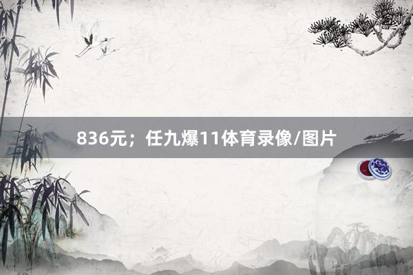 836元；任九爆11体育录像/图片