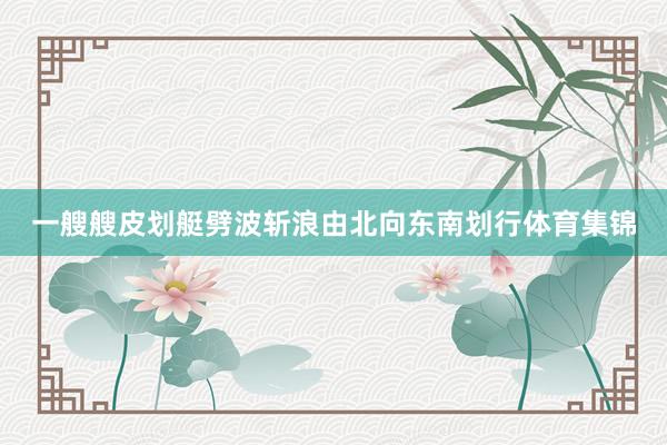 一艘艘皮划艇劈波斩浪由北向东南划行体育集锦