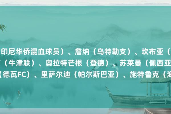 印尼华侨混血球员）、詹纳（乌特勒支）、坎布亚（德瓦FC）　　时尚：费迪南（牛津联）、奥拉特芒根（登德）、苏莱曼（佩西亚雅加达）、毛拉纳（德瓦FC）、里萨尔迪（帕尔斯巴亚）、施特鲁克（海牙）、德拉贾德（万隆）、卡拉卡（PSS斯莱曼）体育录像/图片