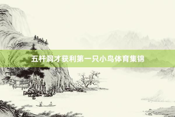 五杆洞才获利第一只小鸟体育集锦
