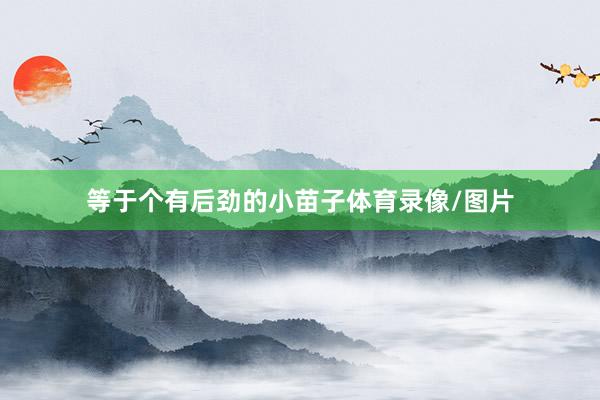 等于个有后劲的小苗子体育录像/图片
