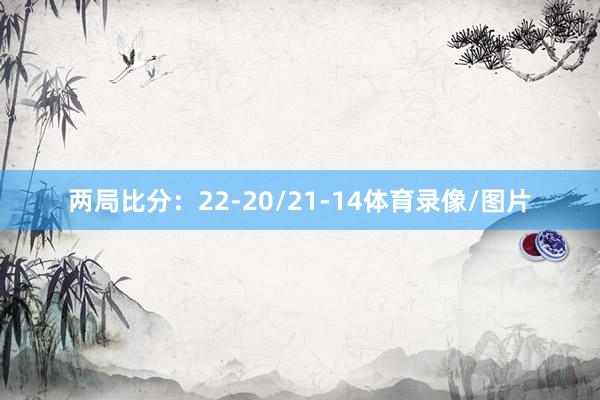 两局比分：22-20/21-14体育录像/图片