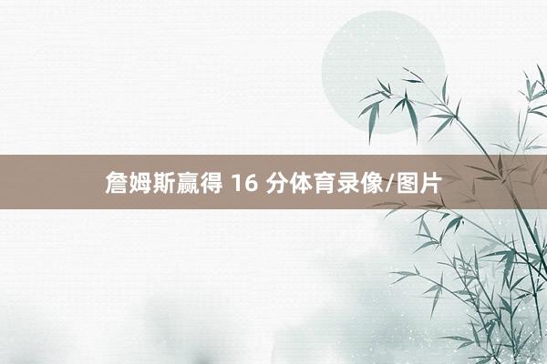 詹姆斯赢得 16 分体育录像/图片