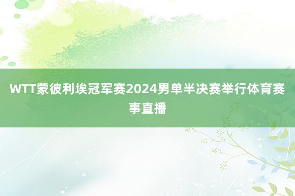 WTT蒙彼利埃冠军赛2024男单半决赛举行体育赛事直播