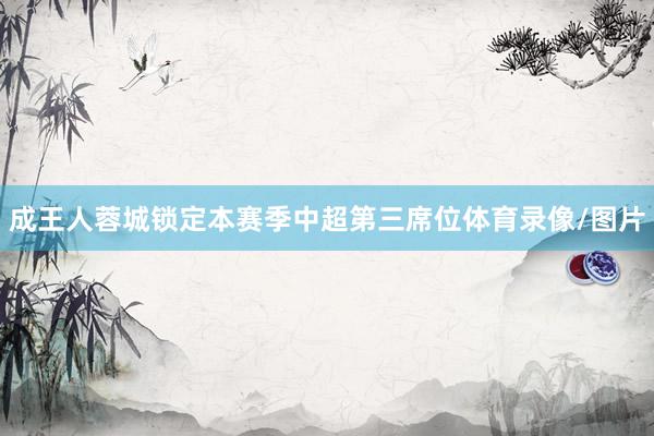 成王人蓉城锁定本赛季中超第三席位体育录像/图片