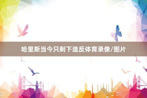 哈里斯当今只剩下造反体育录像/图片