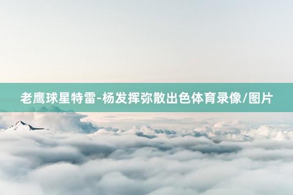 老鹰球星特雷-杨发挥弥散出色体育录像/图片