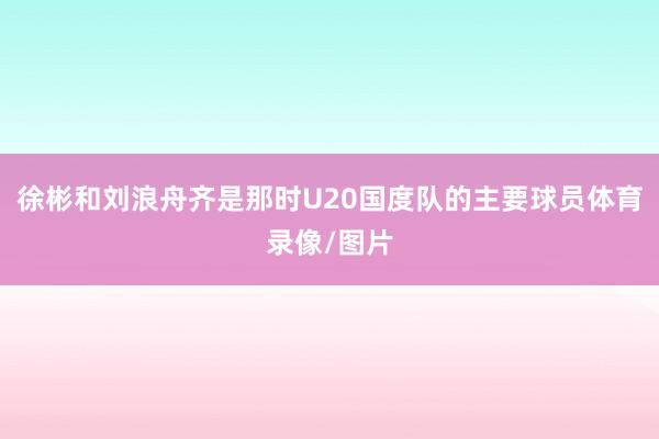 徐彬和刘浪舟齐是那时U20国度队的主要球员体育录像/图片
