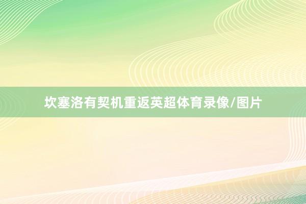 坎塞洛有契机重返英超体育录像/图片