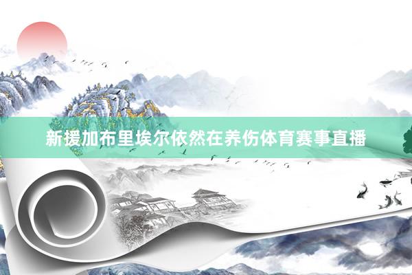 新援加布里埃尔依然在养伤体育赛事直播