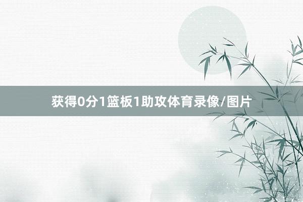 获得0分1篮板1助攻体育录像/图片
